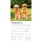 Golden Retrievers | 2026 7 x 14 Inch (Hanging) Monthly Mini Wall Calendar